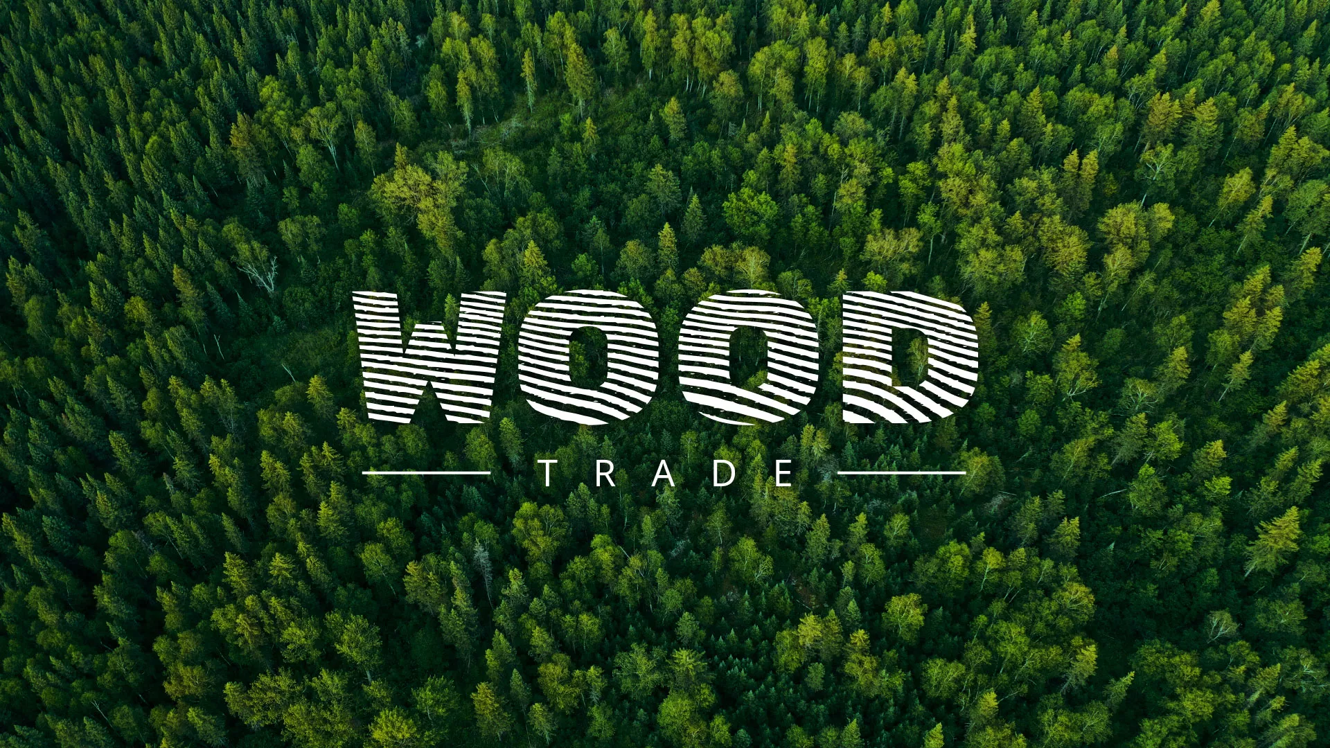 Разработка интернет-магазина компании «Wood Trade» в Выксе
